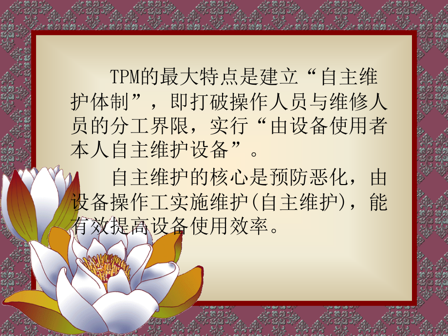 宝洁AM自主维护.ppt._第2页