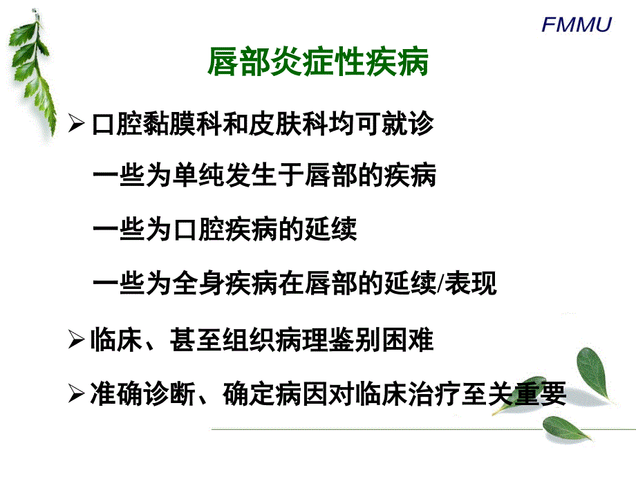 唇部炎症性疾病的鉴别诊断教材_第2页