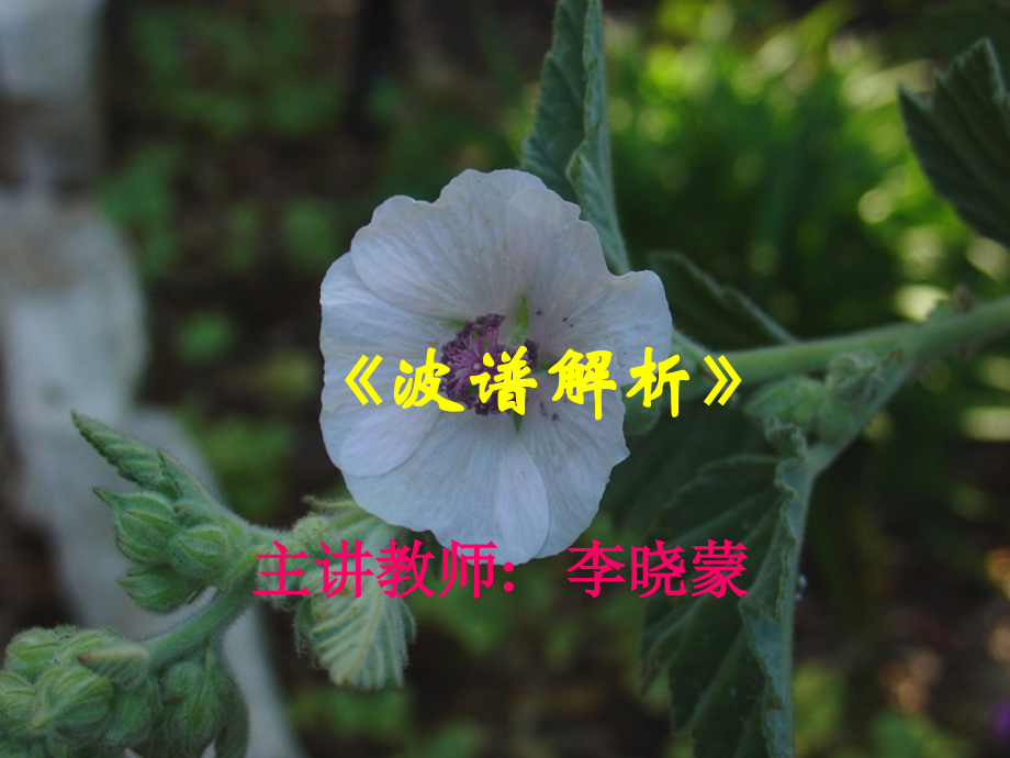 波谱解析IR教材_第1页