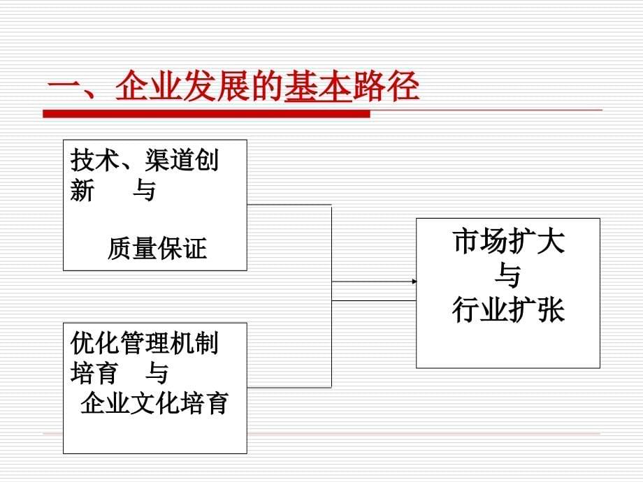 企业战略管理与执行力问题探讨_第5页