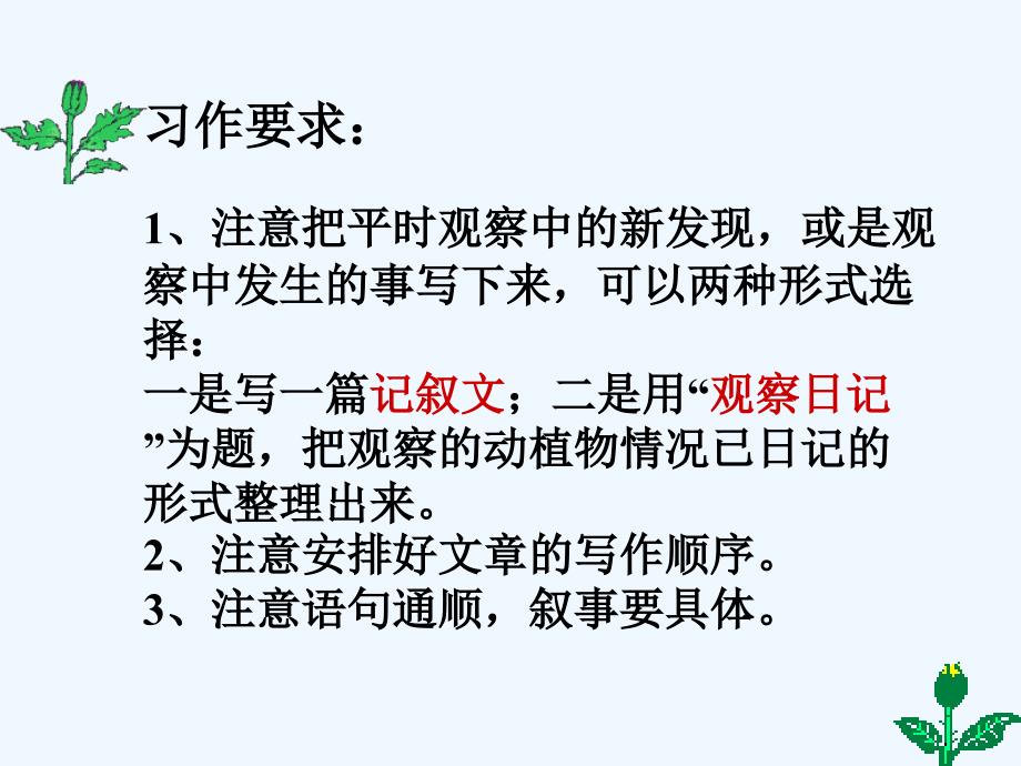 习作二：观察记x则2_第3页