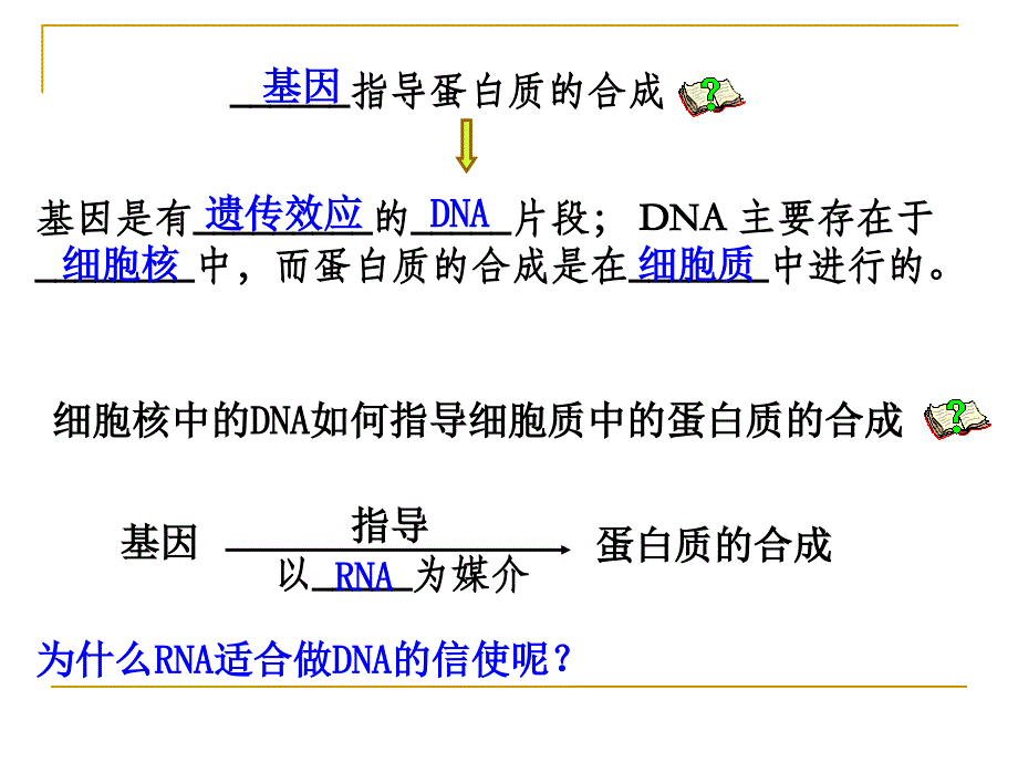 人教必修二生物基因的表达基因指导蛋白质的合成_第3页