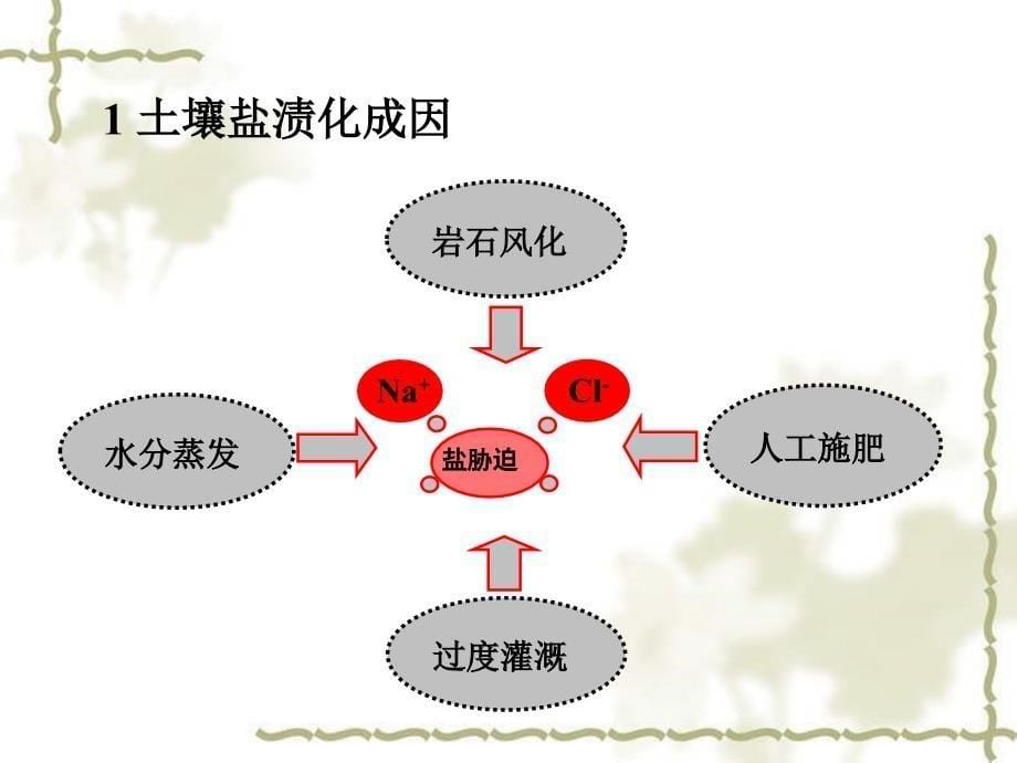 植物的抗盐性讲解_第5页