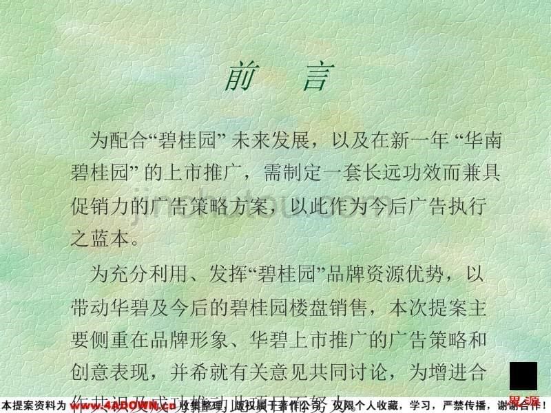 华南碧桂园广告推广策划提案()_第5页