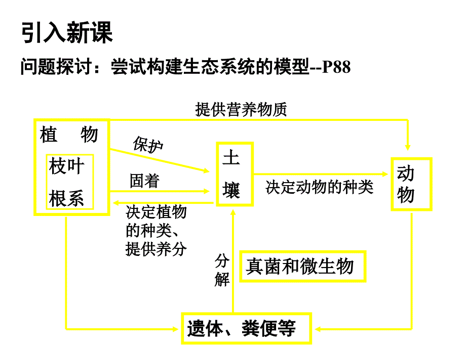 人教版教学五一生态系统的结构_第2页