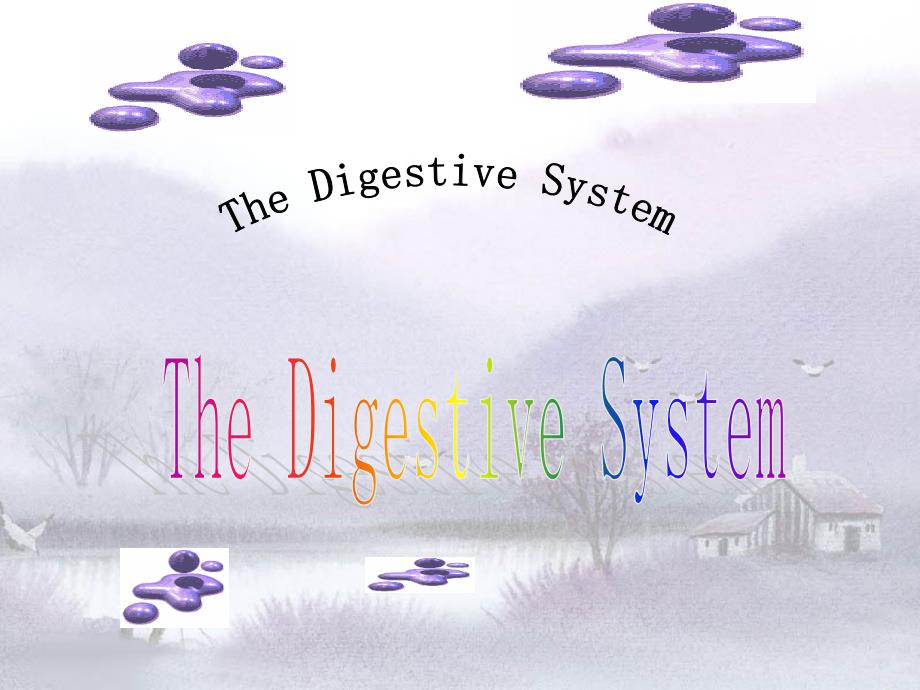 双语医学消化系统thedigestivesystem_第1页