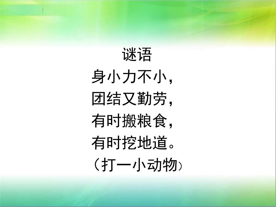 人教版四年级上二单元：观察作文作文指导_第4页