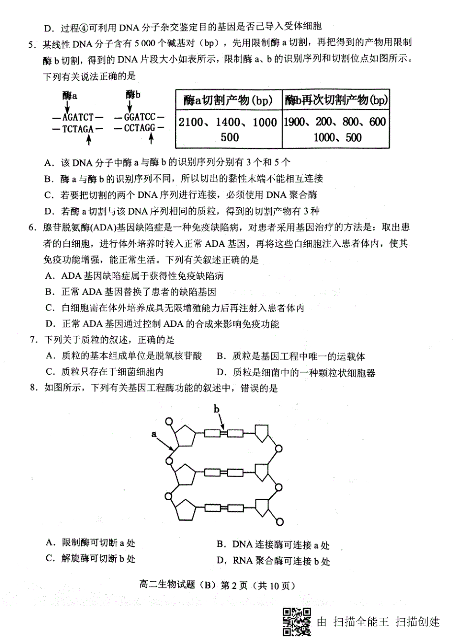 2017-2018学年山东省菏泽市高二（下）学期期中考试生物试题（B版PDF版）.pdf_第2页