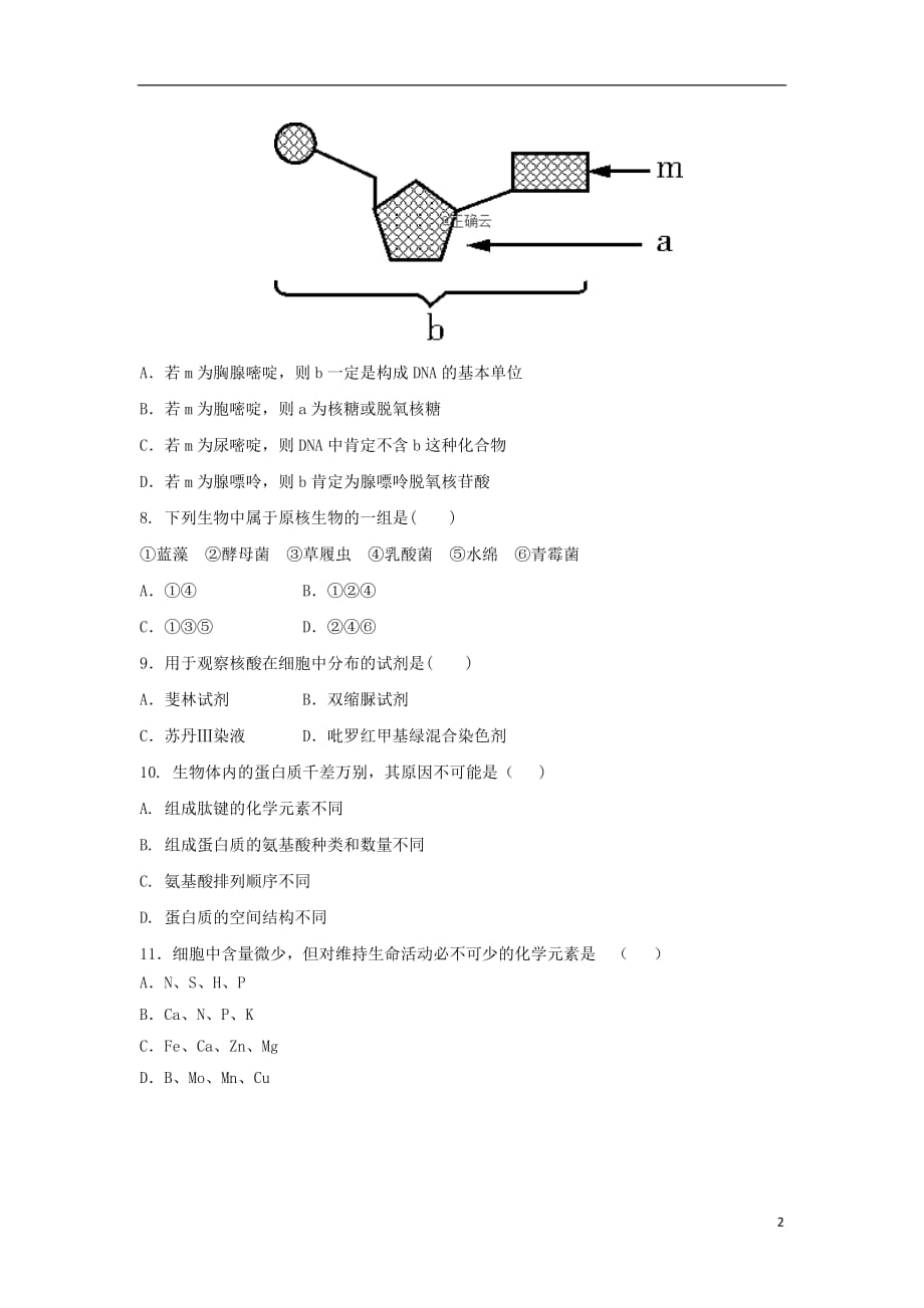 湖南省邵阳市双清区十一中2019_2020学年高一生物上学期期中试题_第2页