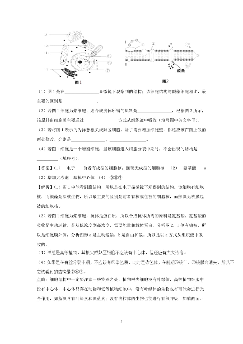 2018年全国高考生物（五月）精选模拟测试（4） （解析版）.doc_第4页