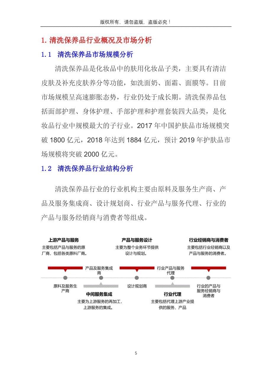 2019年清洗保养品行业分析调研报告_第5页