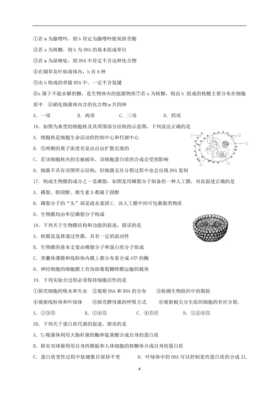 2017-2018年广西高二（下学期）6月月考生物试题（Word版）.doc_第4页