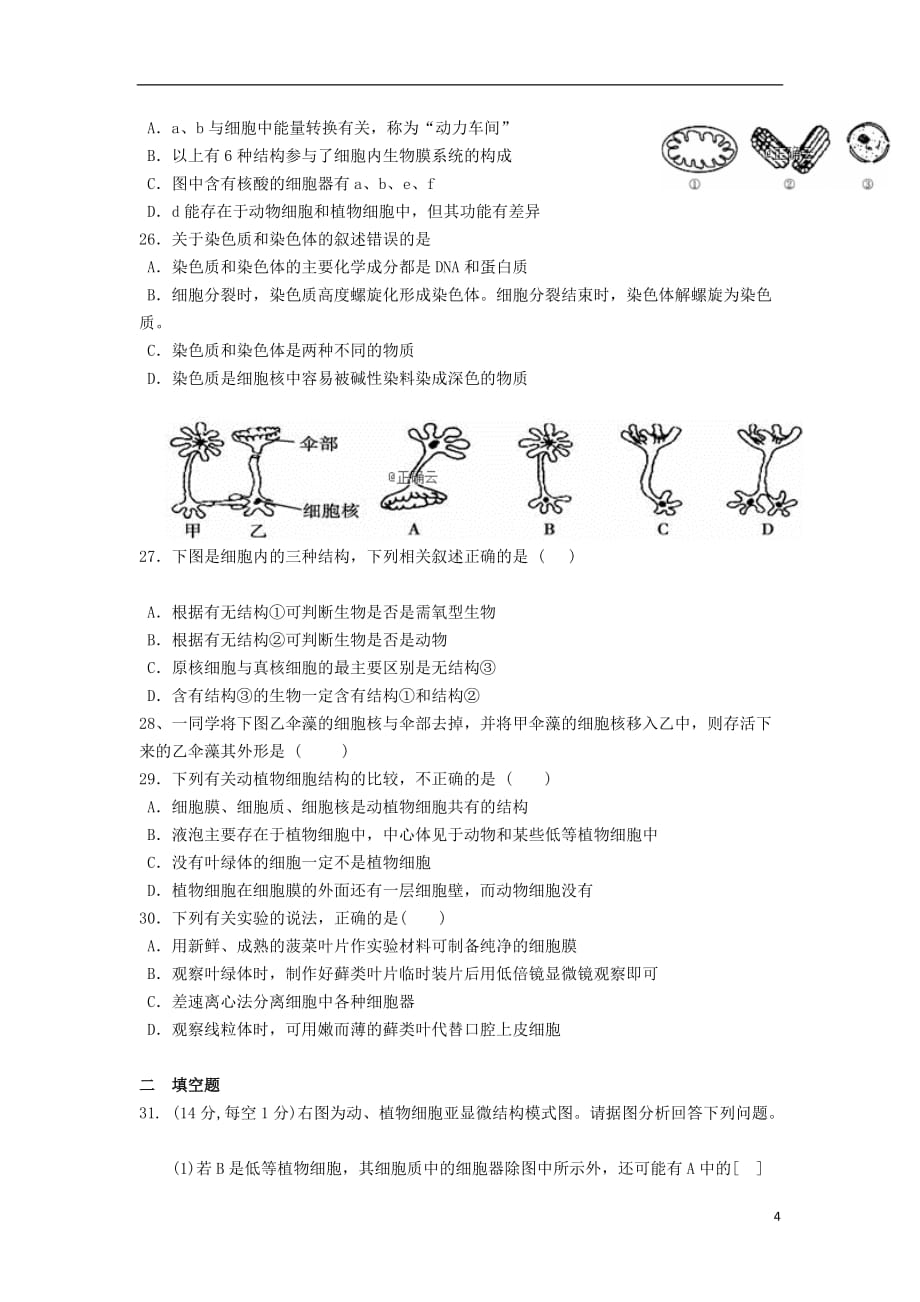 湖南省邵东县第十中学2018_2019学年高一生物下学期期中试题_第4页