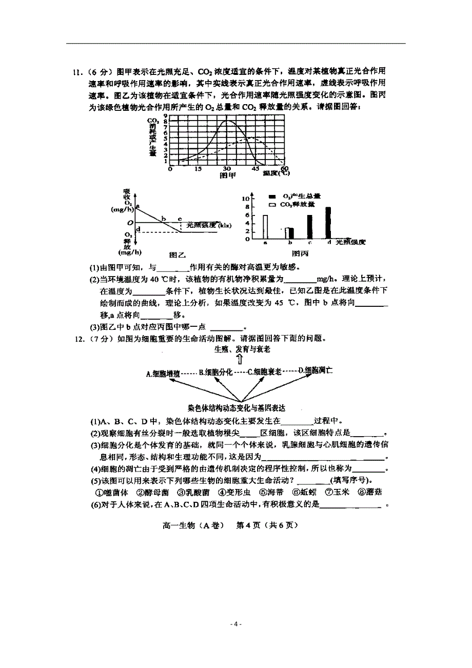 2017-2018学年辽宁省沈阳市郊联体高一（下）学期期中考试生物试题 .doc_第4页