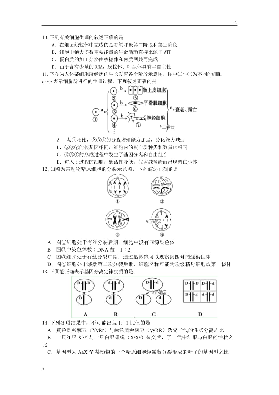 山东省济宁市2020届高三上学期调研考试生物试卷 Word版含答案_第2页