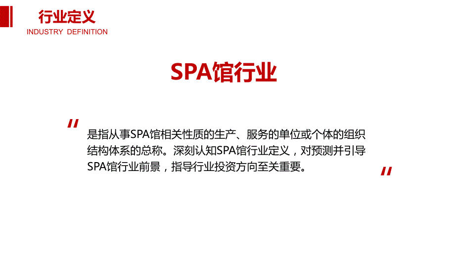 2020SPA馆行业前景调研分析_第4页