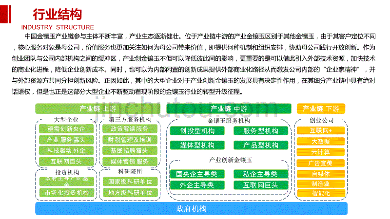 2020金镶玉行业前景调研分析_第5页