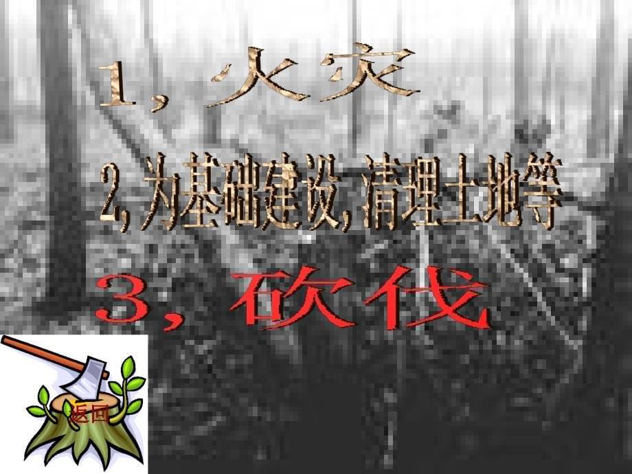 八年级语文雨林的毁灭PPT课件_第5页