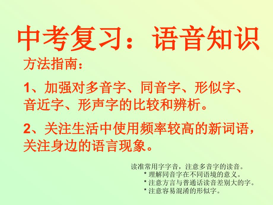 中考复习 拼音与汉字_第2页