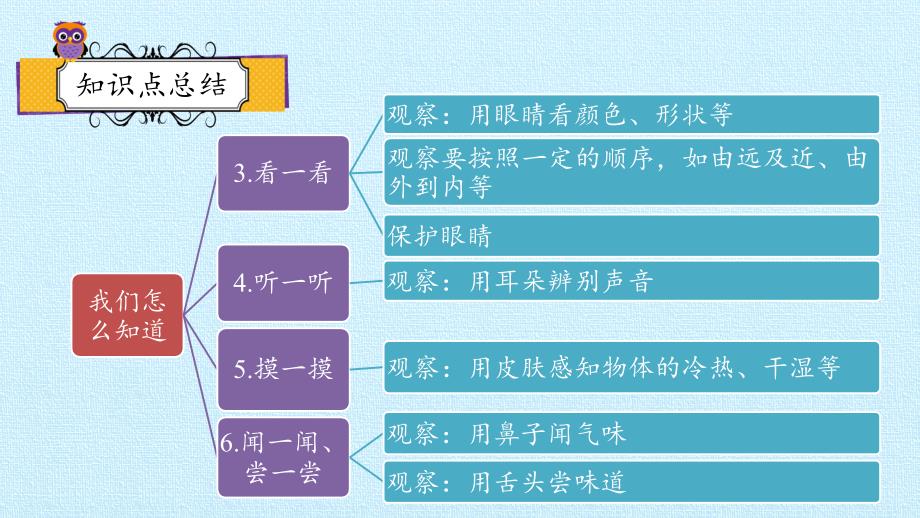 一年级上册科学课件-第二单元 我们怎么知道复习课件 青岛版（六年制）(共21张PPT)_第2页