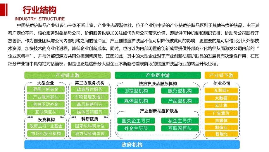 2020祛痘护肤品行业前景调研分析_第5页