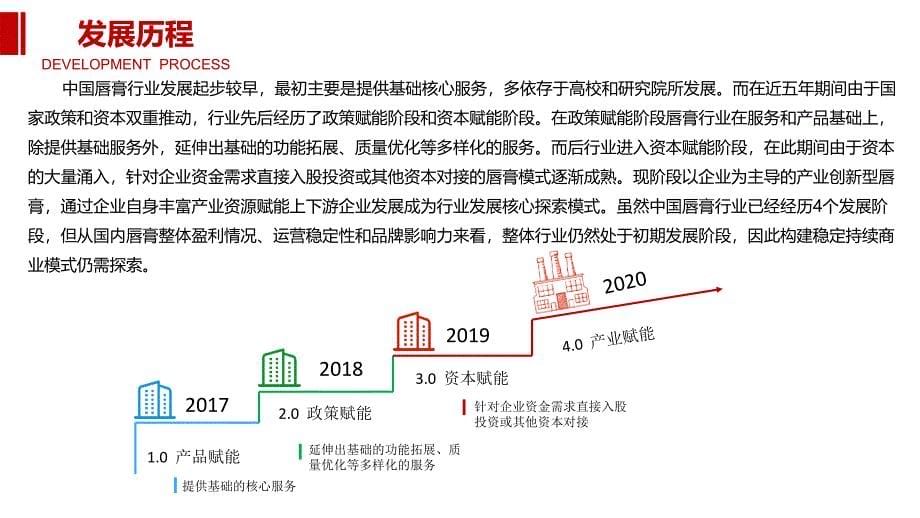 唇膏行业投资调研分析_第5页