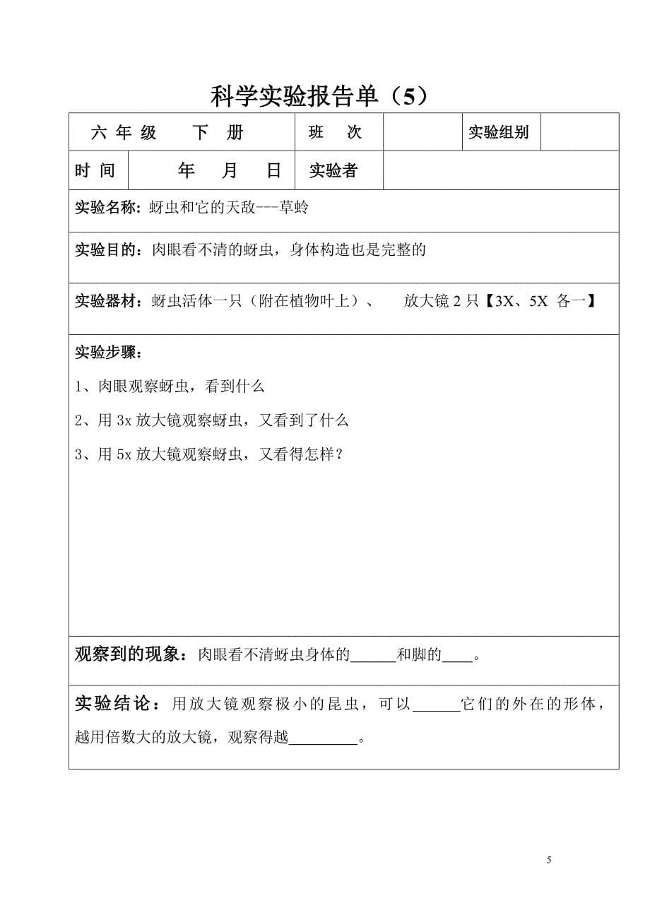 6年级下册实验报告单_第5页