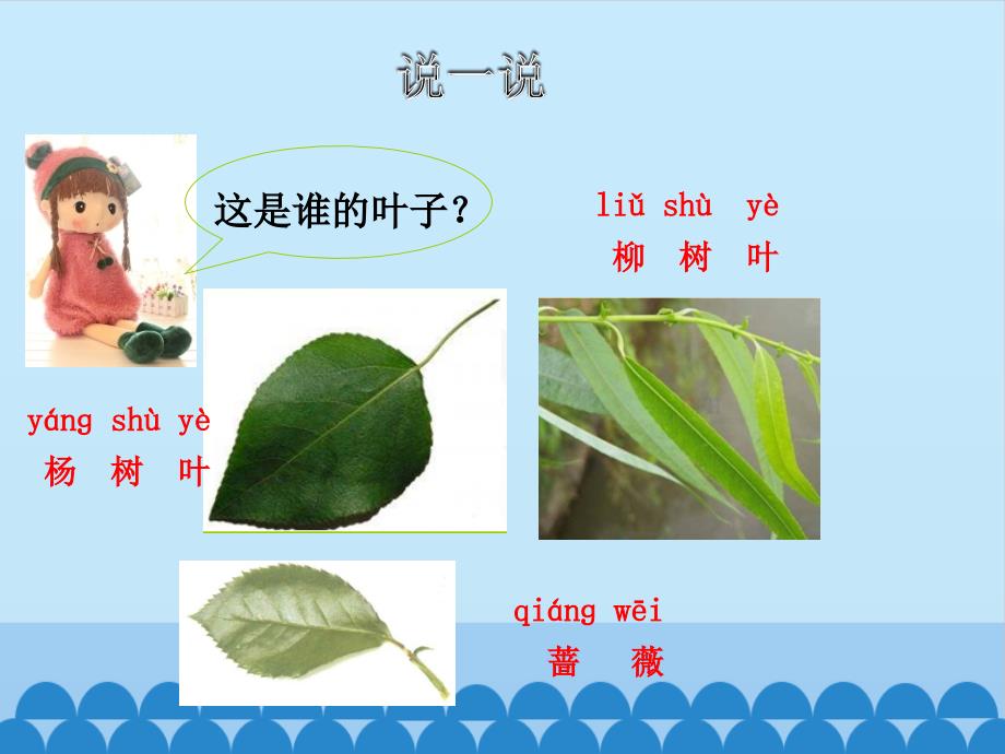 一年级上册科学课件 -《1.4 这是谁的叶》教科版(共21张PPT)_第3页