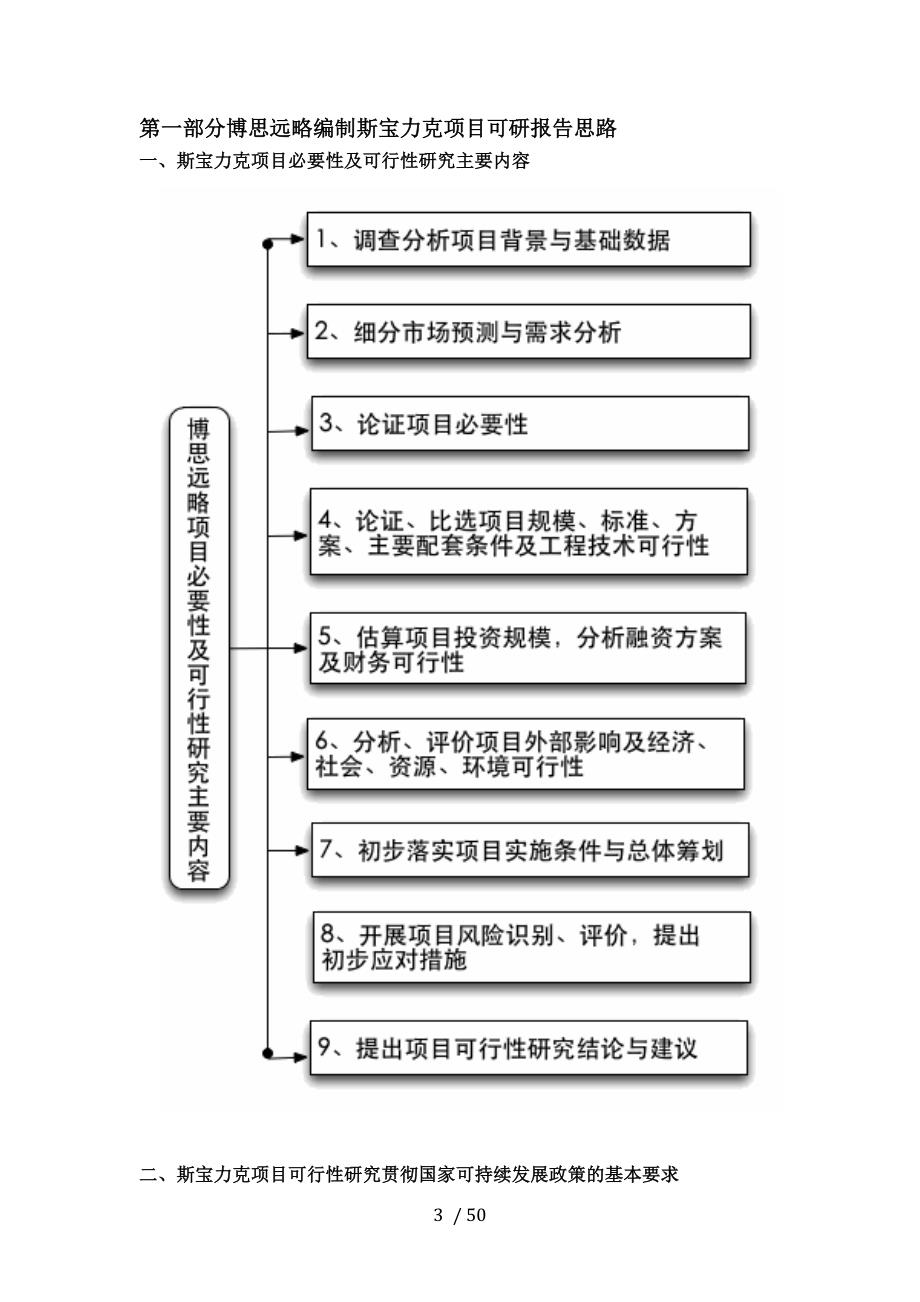 斯宝力克项目可行性研究报告(发改立项备案+最新案例范文)详细编制方案_第4页