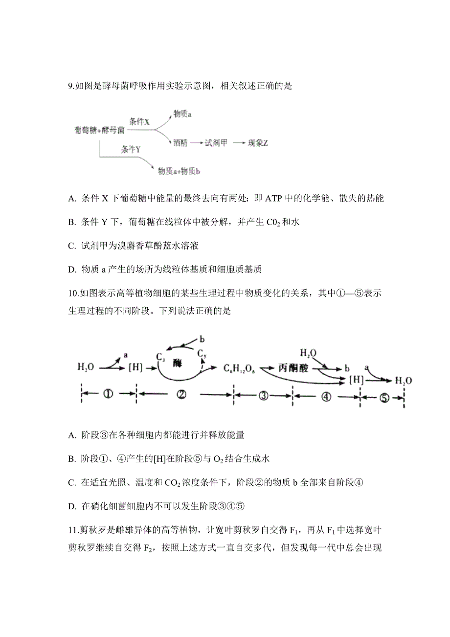 2019届安徽省定远重点中学高三上学期第三次月考生物试题（word版）_第4页