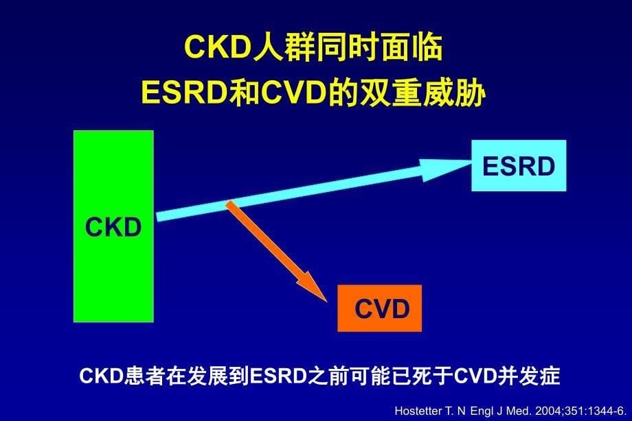 arb降低ckd患者心血管危险的新认识-4-14倪兆慧_第5页