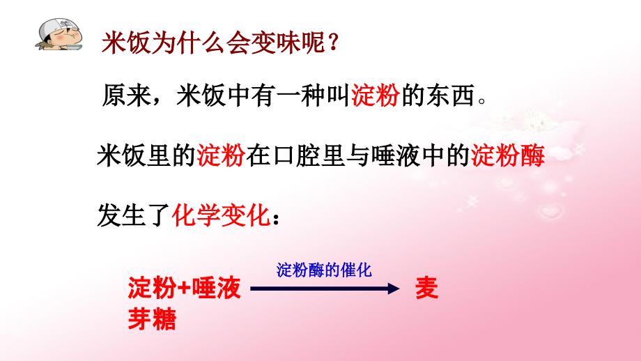 六年级下册科学课件-2.3 米饭、淀粉和碘酒的变化 ｜教科版 (共20张PPT)_第4页