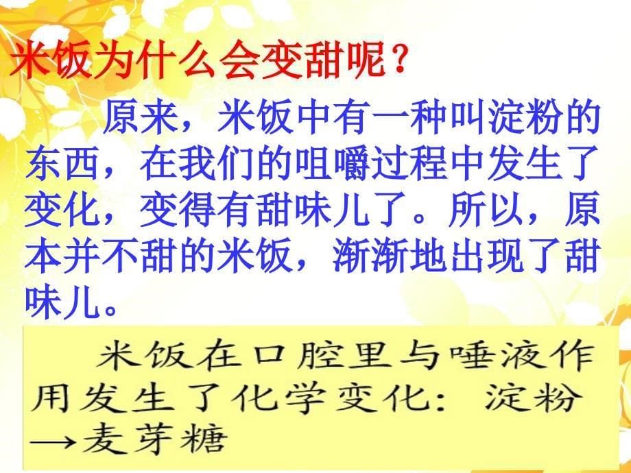 六年级下册科学课件-2.3 米饭、淀粉和碘酒的变化 ｜教科版 (共32张PPT)_第5页