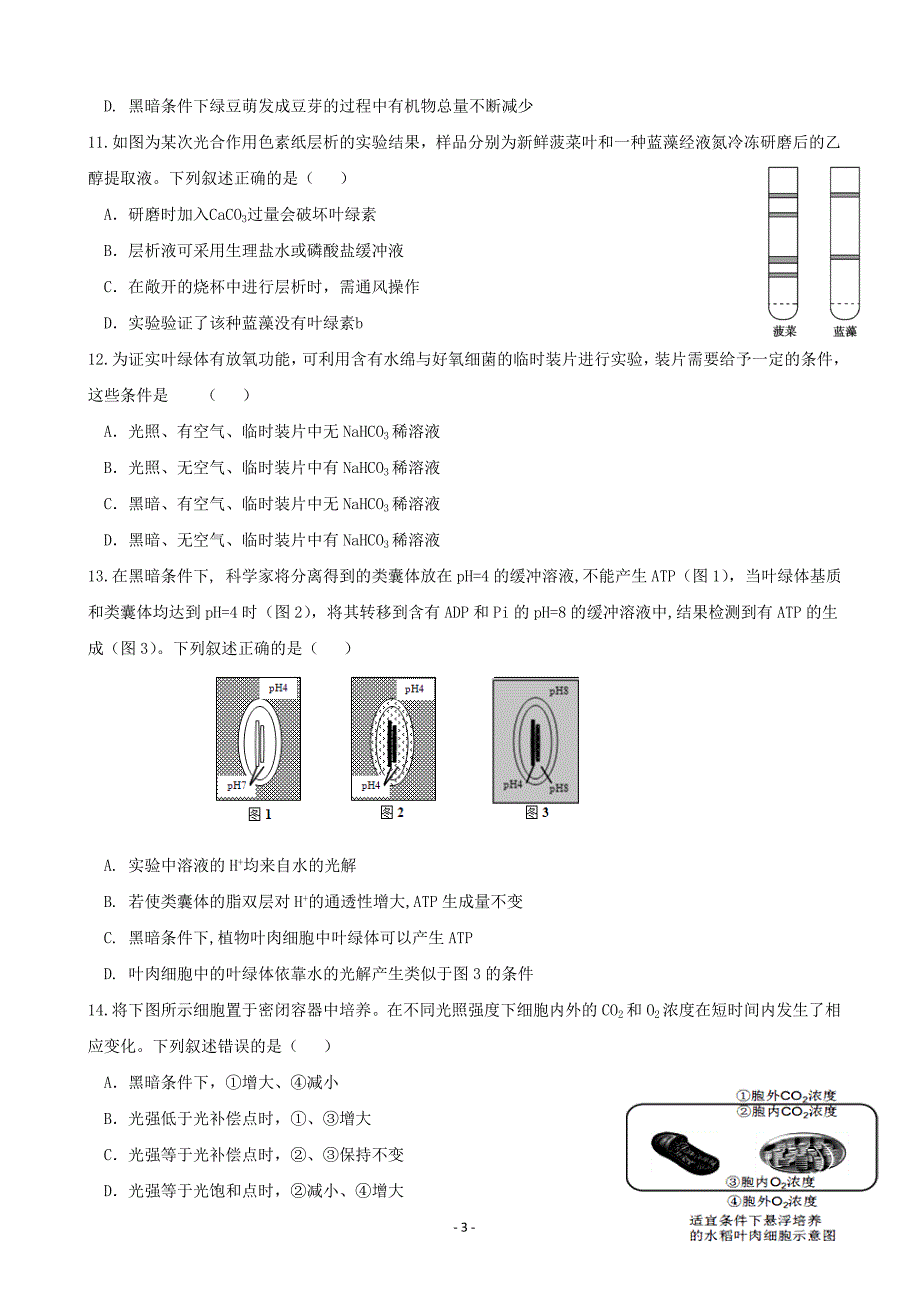 2020届高三上学期期中考试生物试题Word版_第3页