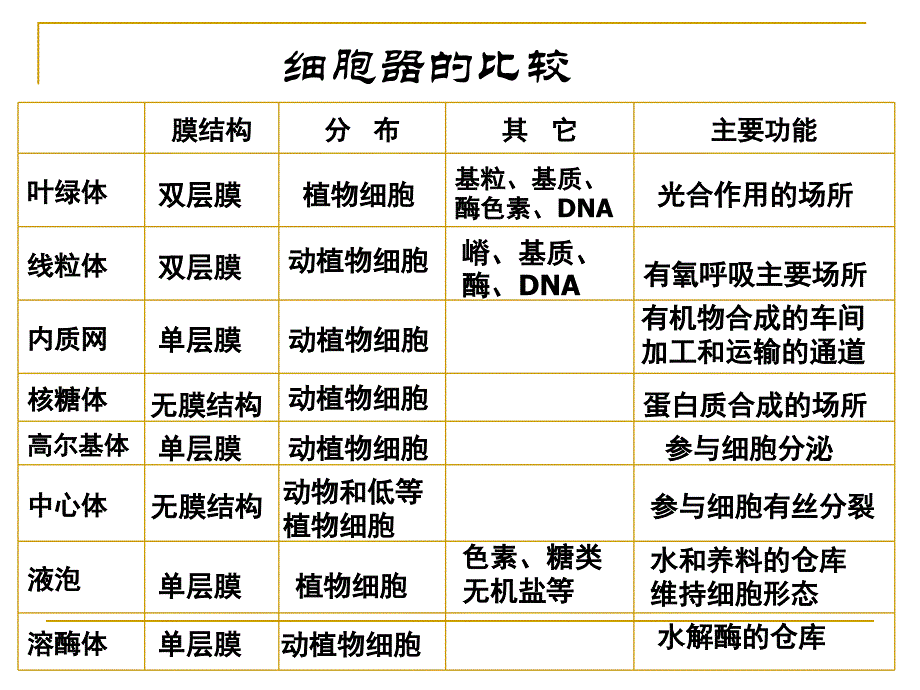 细胞核—系统的控制中心——课件_第1页