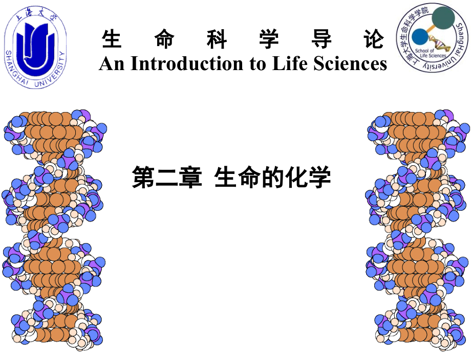 生命的化学0910_第1页