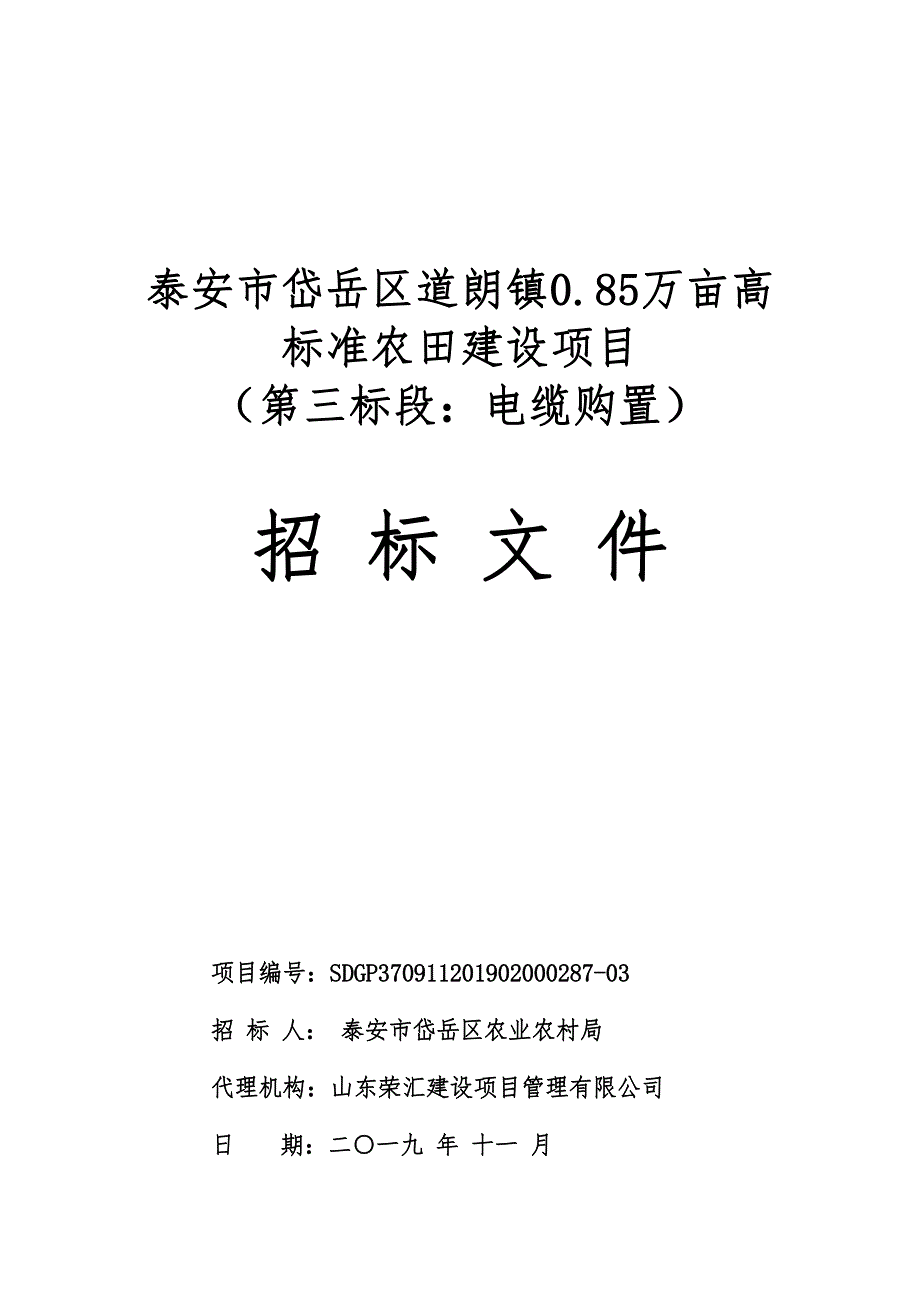 泰安市岱岳区道朗镇0.85万亩高标准农田建设项目（第三标段）招标文件_第1页