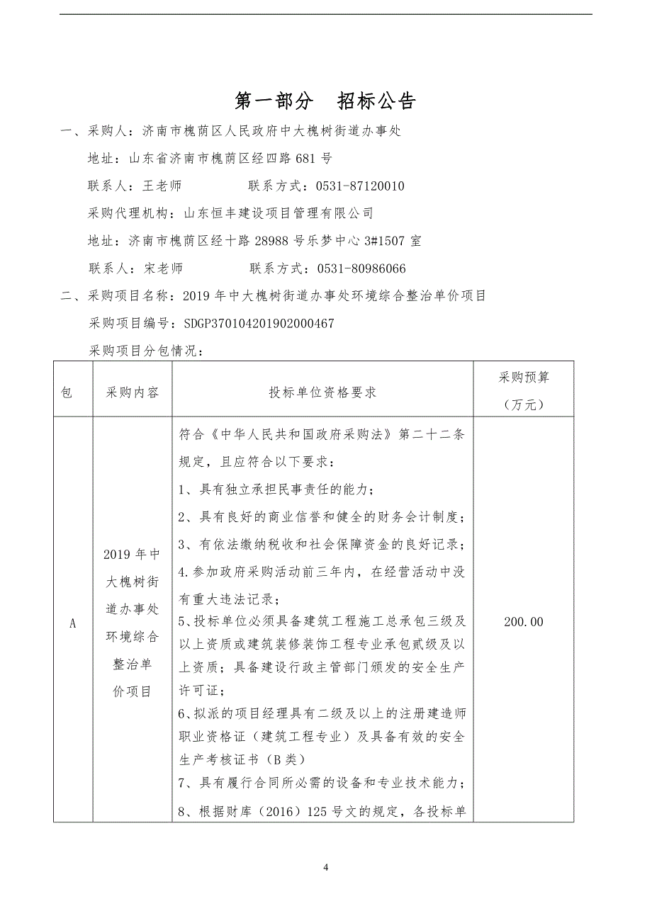 2019年中大槐树街道办事处环境综合整治单价项目招标文件_第4页