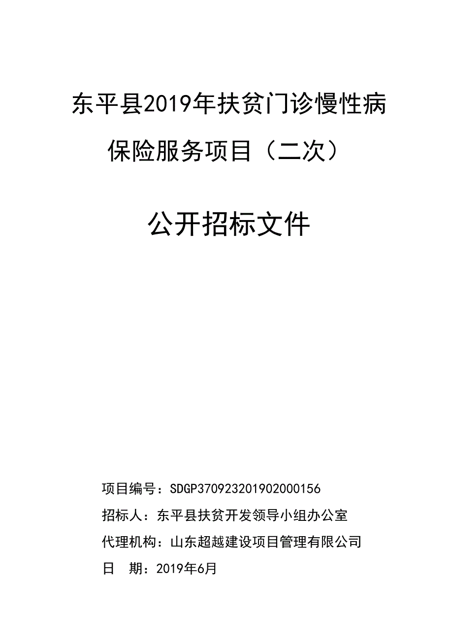 东平县2019年扶贫门诊慢性病保险服务项目招标文件_第1页