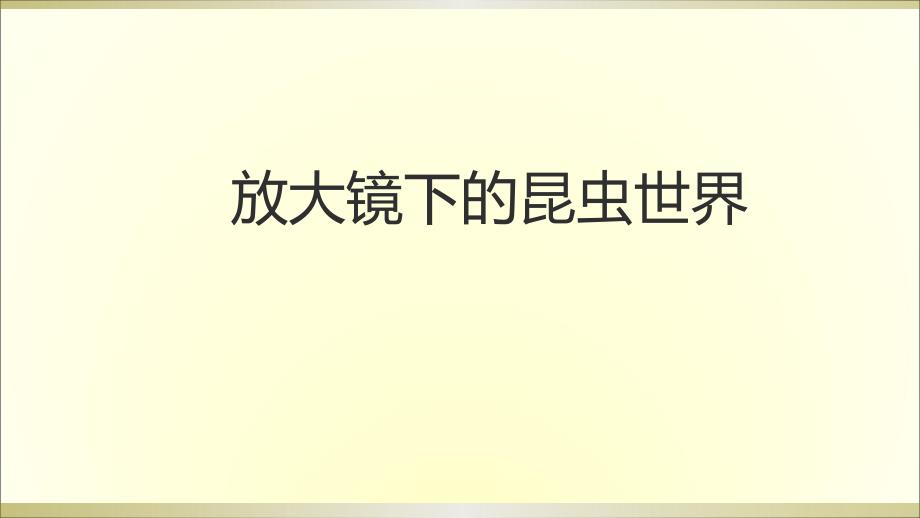 2020教科版小学科学六年级下册《放大镜下的昆虫世界》课件8_第1页