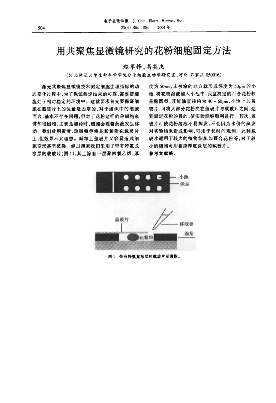 用免疫电镜的方法观察间充质干细胞及再生纤维的超微结构和胶体金标记_第1页