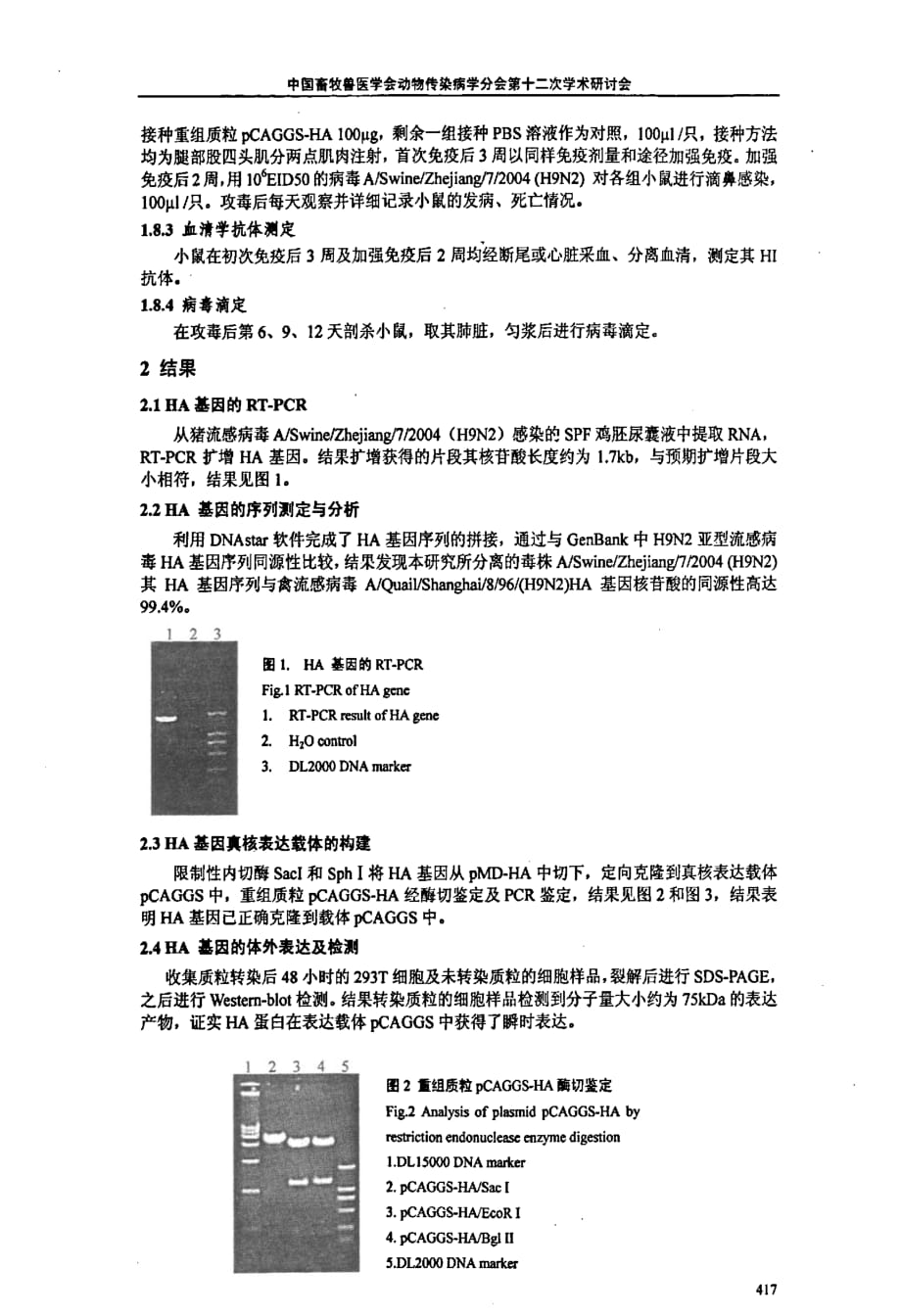 猪源h9n2亚型流感病毒ha基因的序列测定及真核表达_第3页