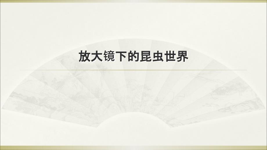 2020教科版小学科学六年级下册《放大镜下的昆虫世界》课件5_第1页