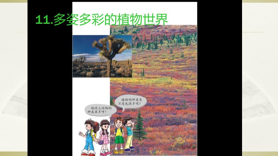 2020苏教版小学科学一年级下册《多姿多彩的植物》课件2_第3页