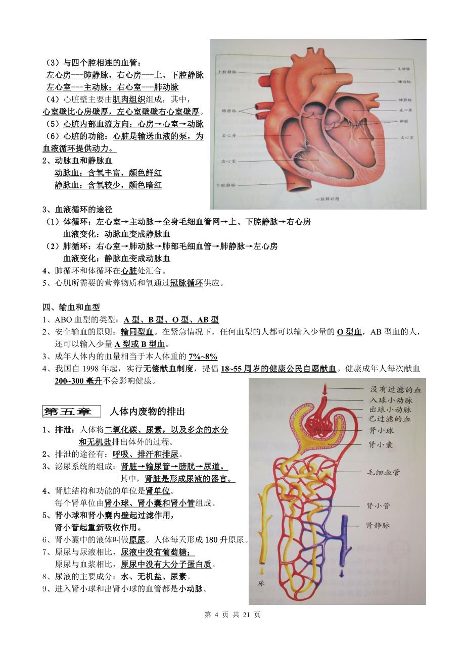 初中人教版七年级上册下册全册生物复习提纲21页 （1）_第4页