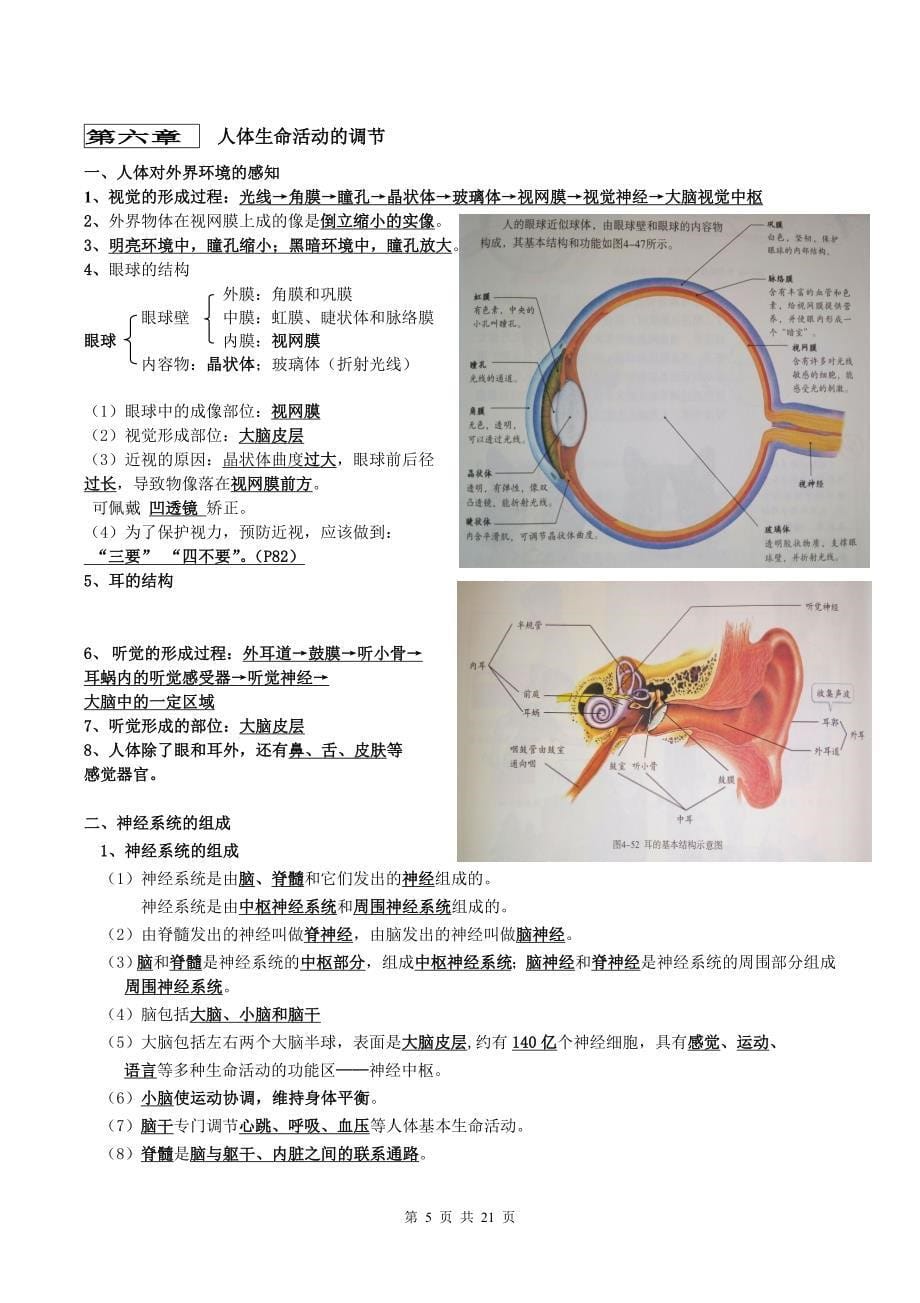 初中人教版七年级上册下册全册生物复习提纲21页 （1）_第5页