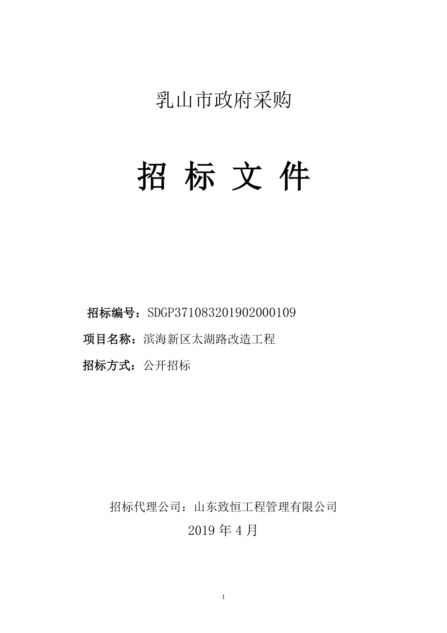 滨海新区太湖路改造工程招标文件_第1页