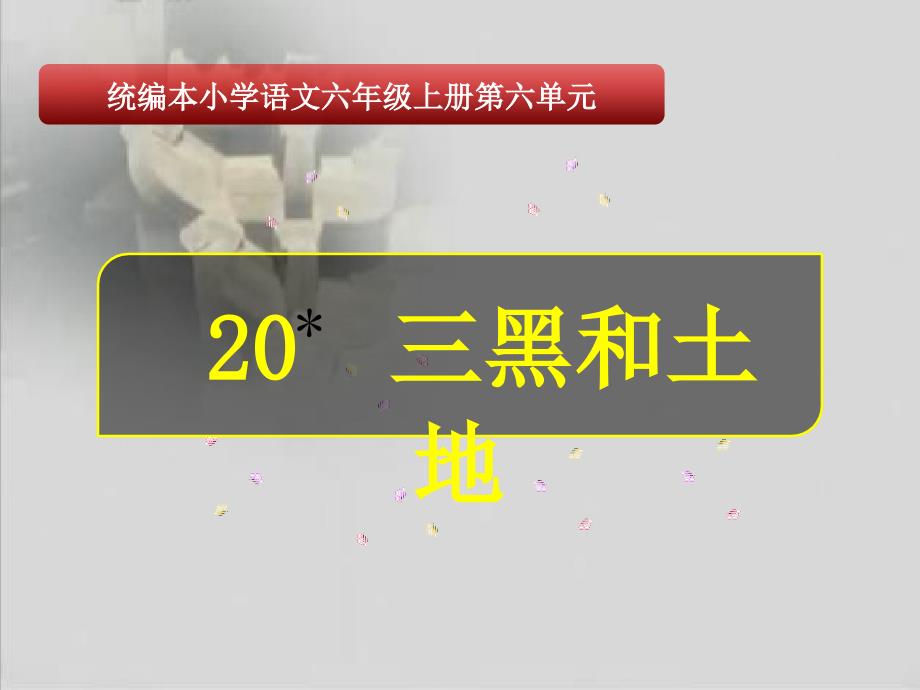 六年级上册语文课件三黑和土地人教部编版(共10张PPT)_第1页