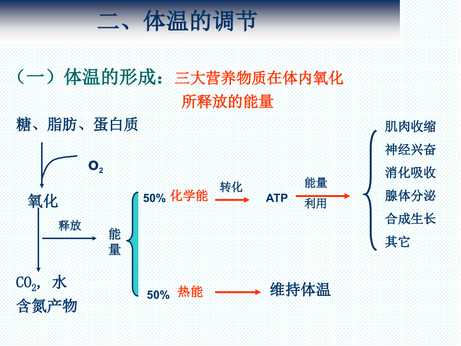 《生命体征的评估与护理》_第4页