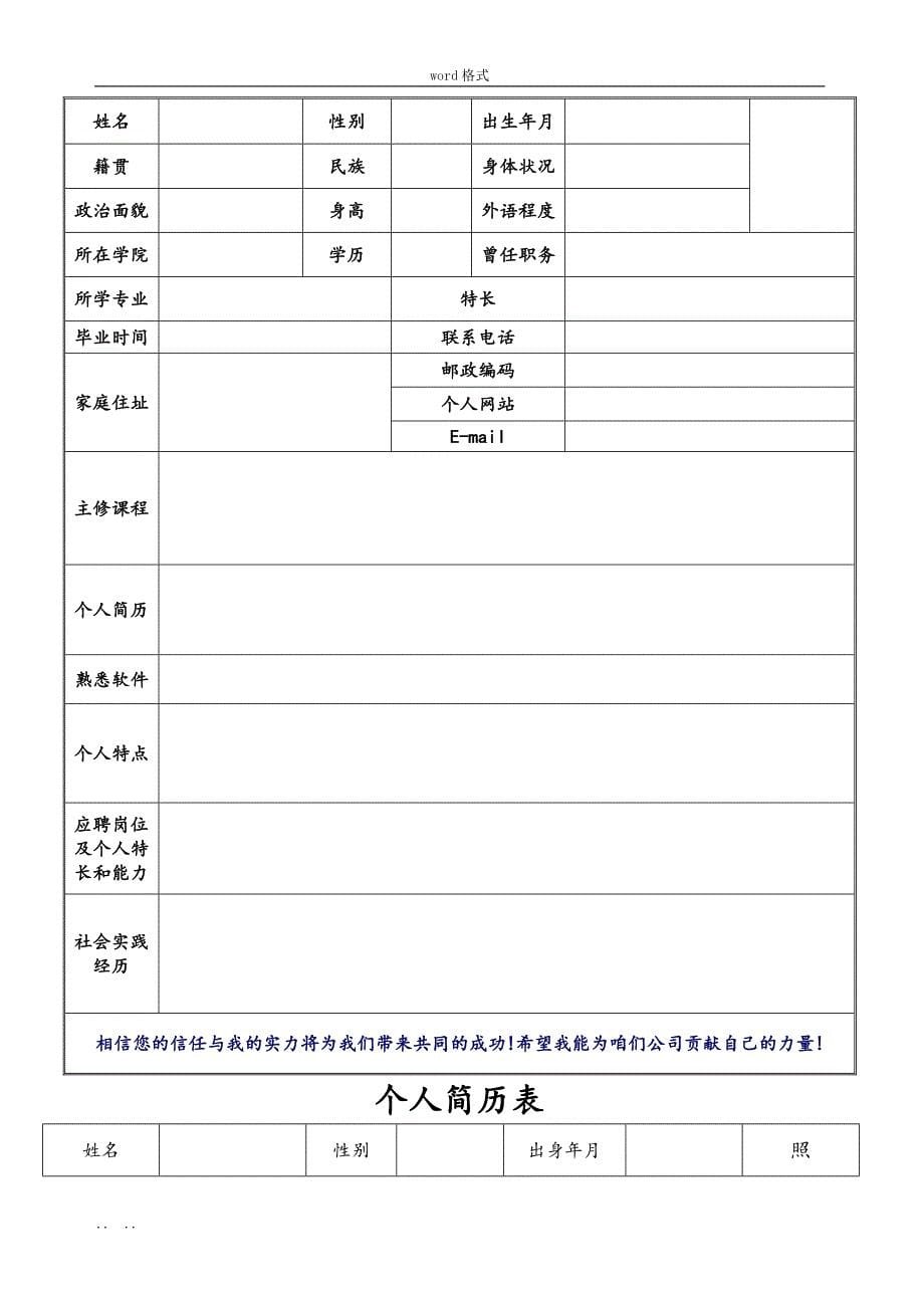 个人标准简历表格27587_第5页